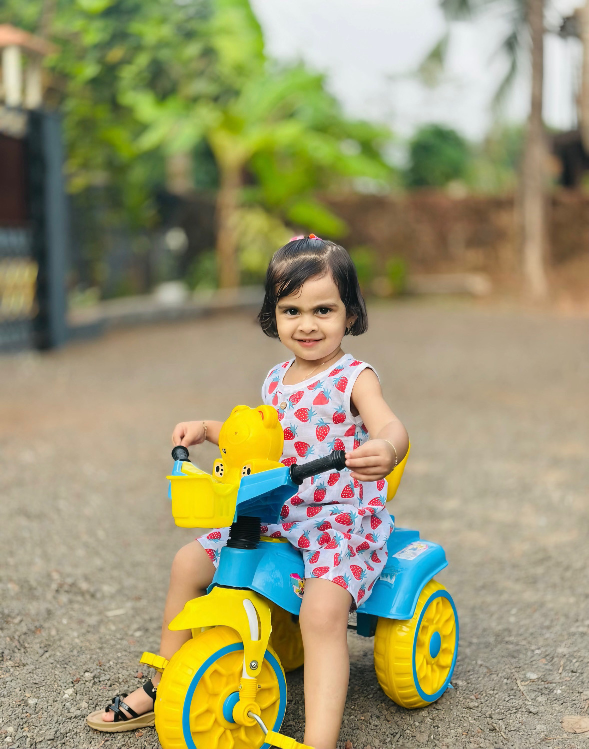 Muslin Frock - Stawberry