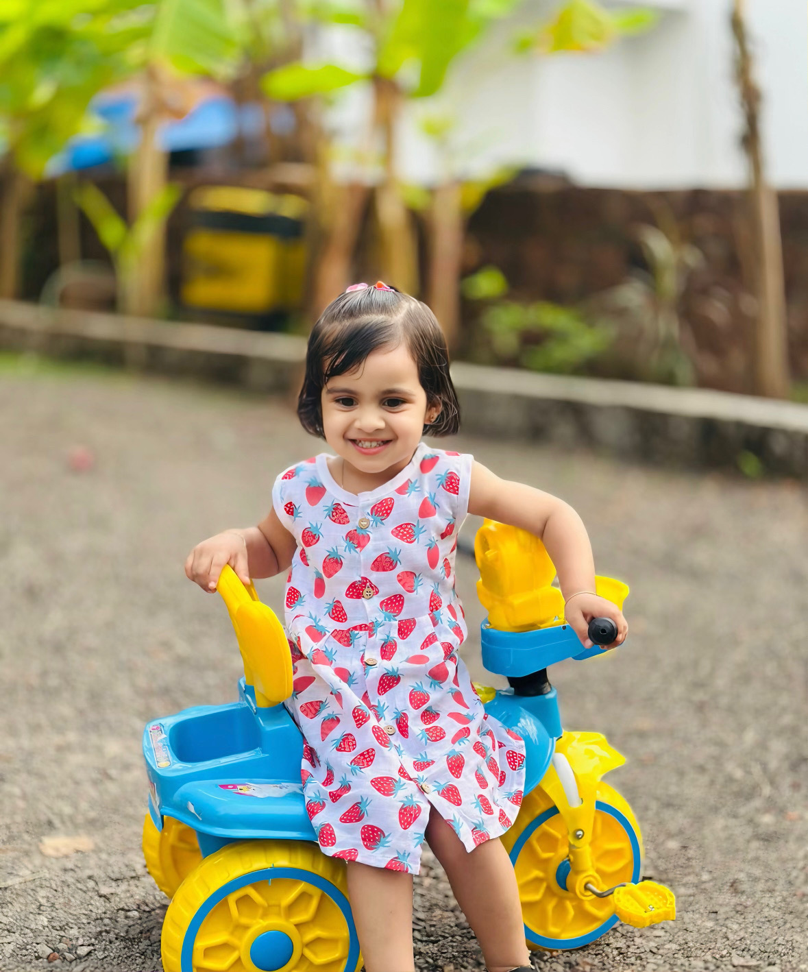 Muslin Frock - Stawberry