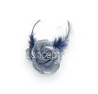 Silver Rose with Feathers & Stone