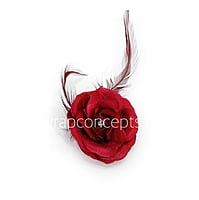 Red Rose with Feathers & Stone