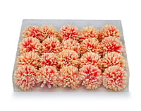 Carnation - Lemon with hints of Pink