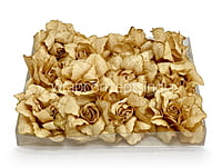 Biscotti Rose with Glittered Petals