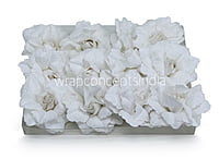 White Rose with Glittered Petals