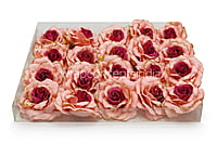 Peacy Pink Rose with Glittered Petals