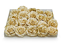 Egg Nog Rose with Glittered Petals