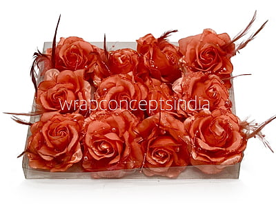 Tomato Rose With Feather & Pearl String