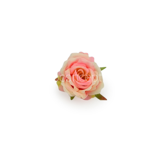 Rose Small - Peach with hints of Pink