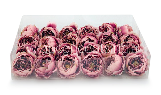 Blush with Burgundy Peonies