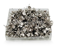 Champagne Eucalyptus Leaves