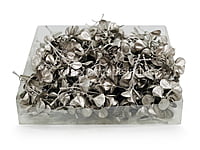 Champagne Eucalyptus Leaves