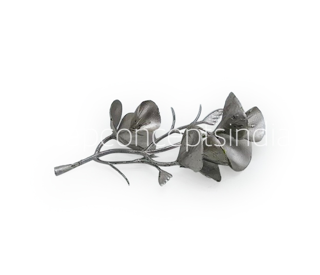 Champagne Eucalyptus Leaves