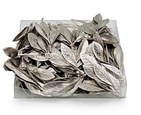 Champagne Textured Leaves on Twig