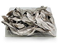 Champagne Textured Leaves on Twig