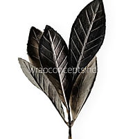 Champagne Textured Leaves on Twig