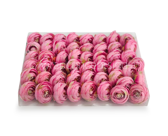Small Peony-Pink
