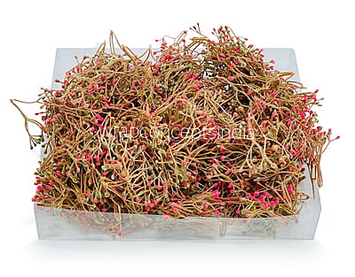 Pink Baby Breath Leaves