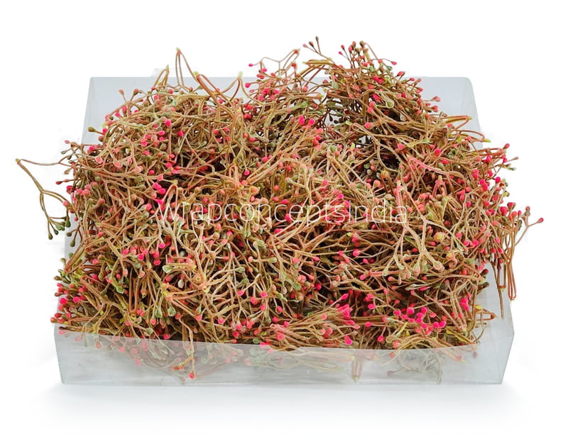 Pink Baby Breath Leaves