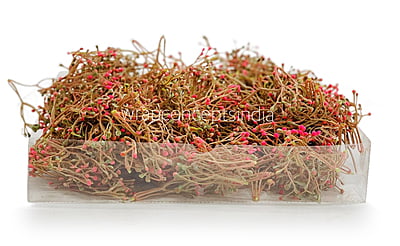 Pink Baby Breath Leaves