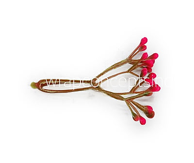 Pink Baby Breath Leaves