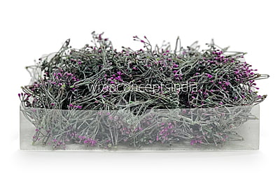 Purple Baby Breath Leaves