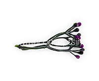 Purple Baby Breath Leaves