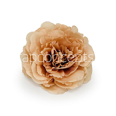 Magnolia Moutan Peony