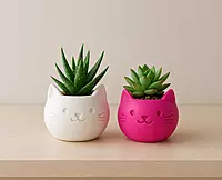 Cute Cat Mini Plant Pot