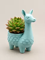 Cute Mini Planter Pot