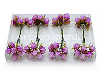 Lilac Bougainvillea on Stick