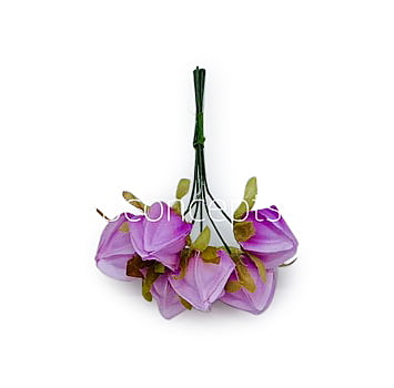 Lilac Bougainvillea on Stick