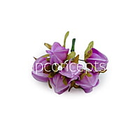 Lilac Bougainvillea on Stick