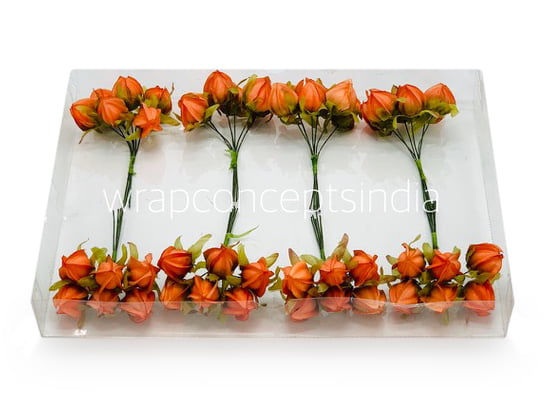 Tangerine Bougainvillea on Stick