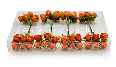 Tangerine Bougainvillea on Stick