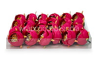Peony Medium -Fuchsia Pink