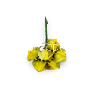 Yellow Bougainvillea on Stick
