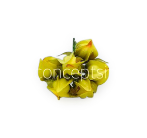 Yellow Bougainvillea on Stick