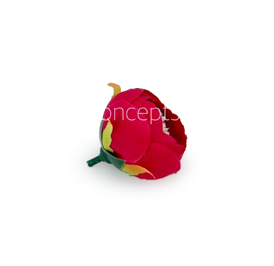 Peony Medium -Fuchsia Pink
