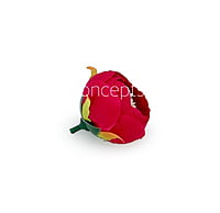 Peony Medium -Fuchsia Pink