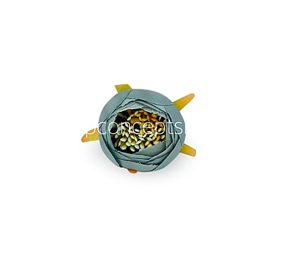 Peony Medium -Steel Grey