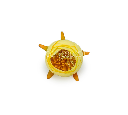 Peony Medium -Lemon Yellow