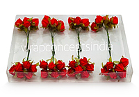 Red Bougainvillea on Stick