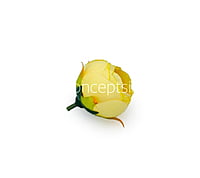Peony Medium -Lemon Yellow