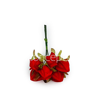 Red Bougainvillea on Stick