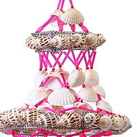 Sea Snail Jummer B Sea Snail Jummer B