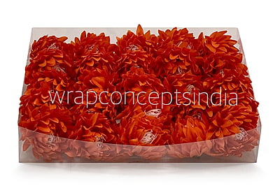 Orange Red Water Lily