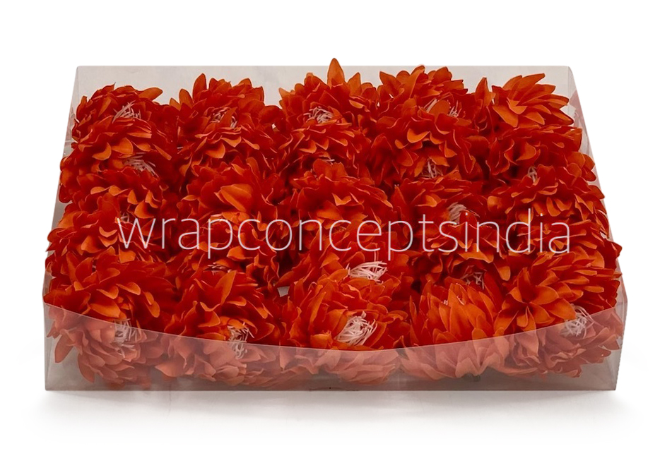 Orange Red Water Lily