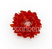 Orange Red Water Lily