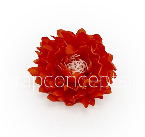 Orange Red Water Lily