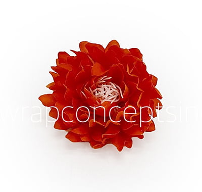 Orange Red Water Lily