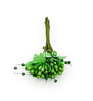 Flower Pollens with Pearls